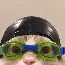 Nascat